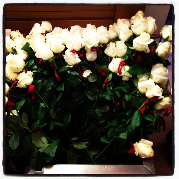 summer-party-cartier-roses-blanches