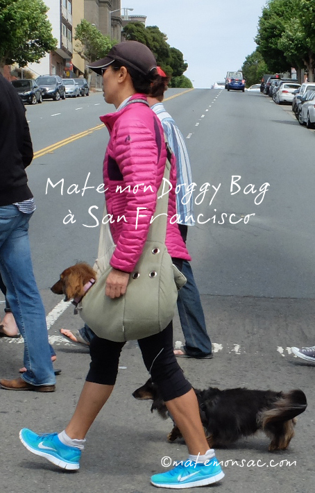 mate-mon-doggy-bag